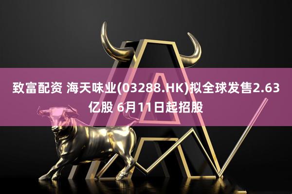 致富配资 海天味业(03288.HK)拟全球发售2.63亿股 6月11日起招股