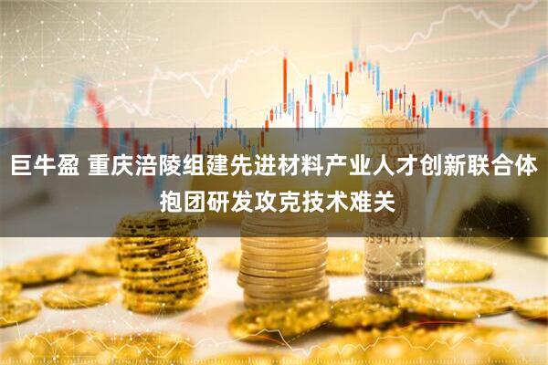 巨牛盈 重庆涪陵组建先进材料产业人才创新联合体 抱团研发攻克技术难关