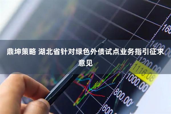 鼎坤策略 湖北省针对绿色外债试点业务指引征求意见
