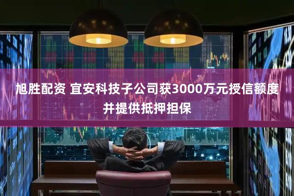 旭胜配资 宜安科技子公司获3000万元授信额度并提供抵押担保